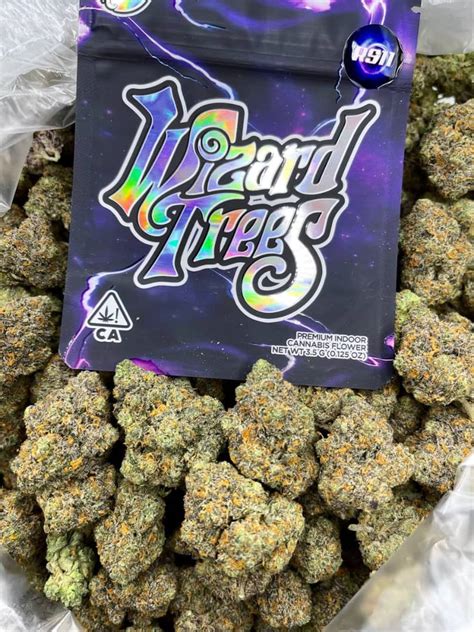 versace strain wizard trees|About Wizard Trees: Retailers, Deals, Events & Feed .